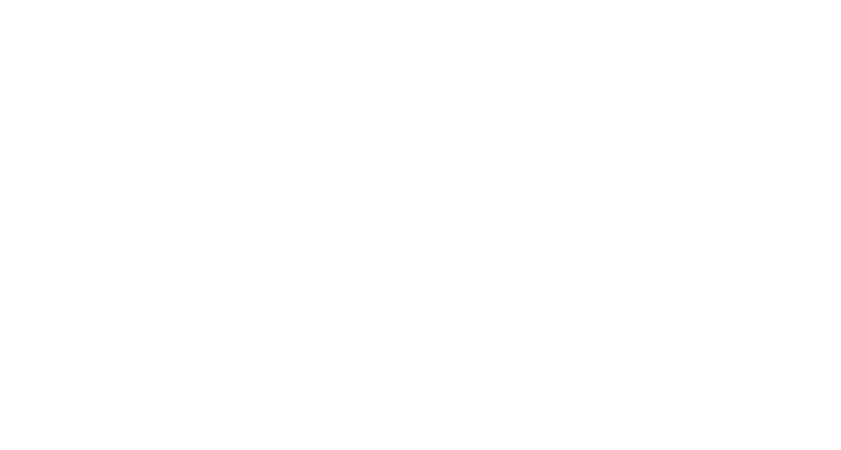 Zenith Aerotech